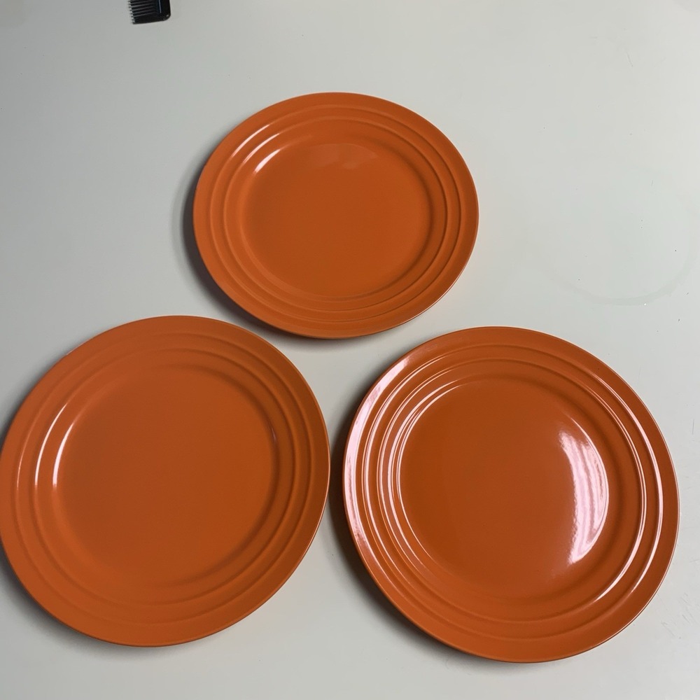 3 Rachael Ray Double Ridge Tangerine Orange Dinner Plates Stoneware 11" Harvest